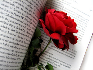 Rose auf Buch